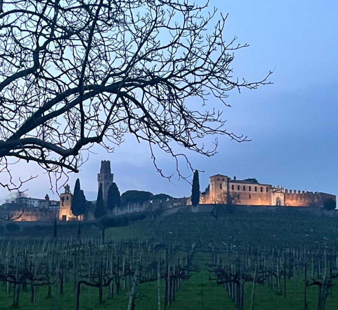I Sassi Della Piave Susegana