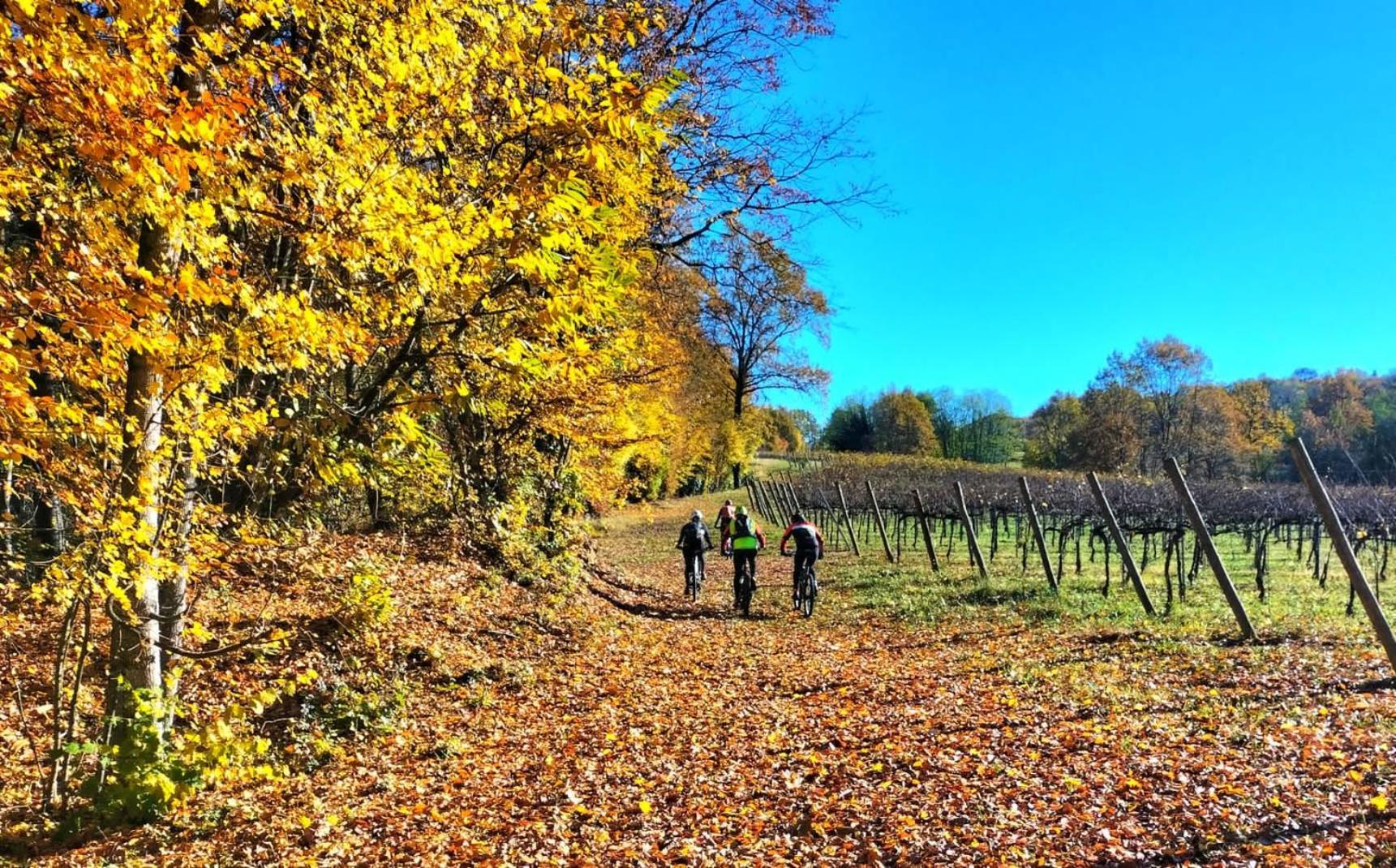 I Sassi Della Piave * Susegana